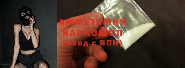 индика Вяземский