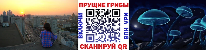 Галлюциногенные грибы мицелий  купить наркоту  Волжск 